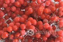 Кисіль із калини - Крок 1 Кисіль із калини - Крок 1