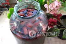 Ягодный квас - Шаг 7 Ягодный квас - Шаг 7