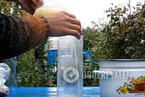 Лимонний квас - Крок 8 Лимонний квас - Крок 8