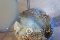 Молочний коктейль з ківі - Крок 5 Молочний коктейль з ківі - Крок 5