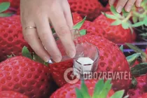 Мармелад на агар-агарі - Крок 1 Мармелад на агар-агарі - Крок 1