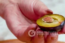 Сливовий мармелад із медом - Крок 1 Сливовий мармелад із медом - Крок 1