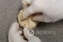 Самса с курицей - Шаг 17 Самса с курицей - Шаг 17