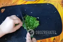 Самса з бараниною - Крок 13 Самса з бараниною - Крок 13