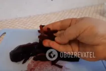 Гарячий свекольник в мультиварці - Крок 1 Гарячий свекольник в мультиварці - Крок 1