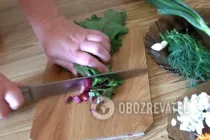 Гаряча ботвинья - Крок 4 Гаряча ботвинья - Крок 4