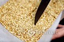 Бюджетні козинаки з перловки - Крок 6 Бюджетні козинаки з перловки - Крок 6
