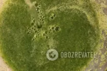 Огуречный гаспачо - Шаг 5 Огуречный гаспачо - Шаг 5