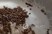 Гречаний багет - Крок 2 Гречаний багет - Крок 2