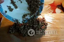 Корисні козинаки без цукру - Крок 5 Корисні козинаки без цукру - Крок 5