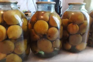 Компот из целых груш - пошаговый рецепт Компот из целых груш - пошаговый рецепт