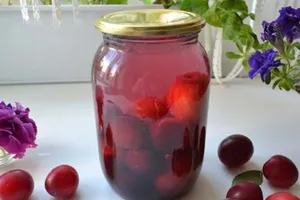 Компот из красной алычи - пошаговый рецепт Компот из красной алычи - пошаговый рецепт