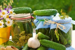 Мариновані огірки з часником - покроковий рецепт Мариновані огірки з часником - покроковий рецепт