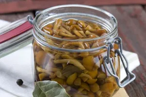 Мариновані маслюки - покроковий рецепт Мариновані маслюки - покроковий рецепт