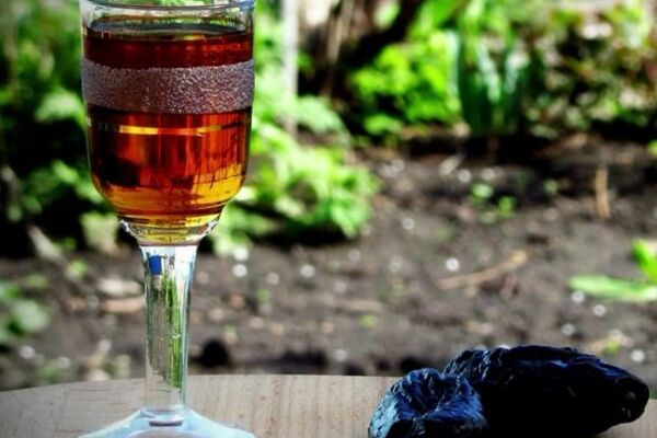 Настоянка на чорносливі