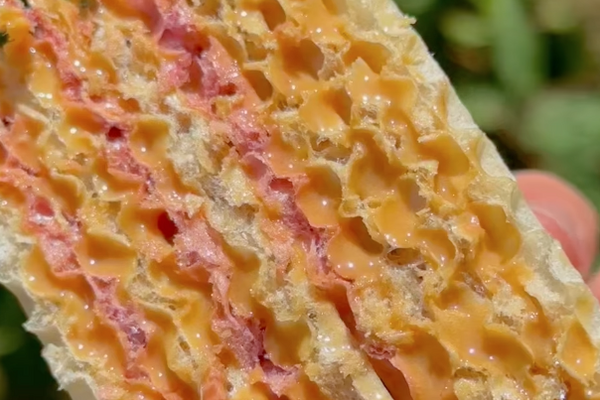 Вафельный торт