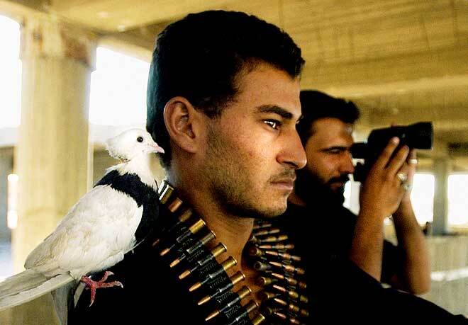 Фотографии-призеры Пулитцеровской премии. Страшная реальность войны в Ираке...