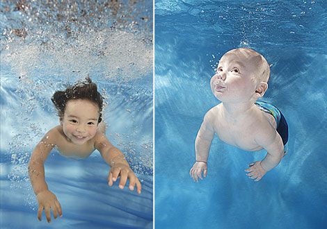 Фотографії підводних мешканців