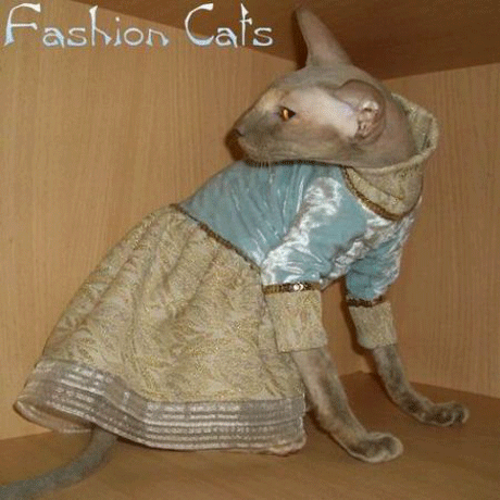 Впечатлительным не смотреть! Голые киски в стильном белье