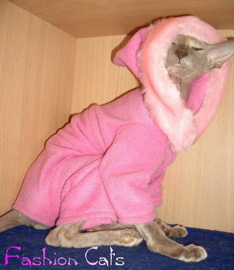 Впечатлительным не смотреть! Голые киски в стильном белье