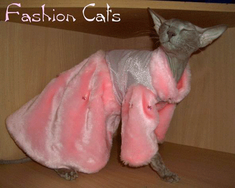 Впечатлительным не смотреть! Голые киски в стильном белье