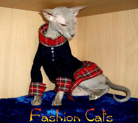 Впечатлительным не смотреть! Голые киски в стильном белье