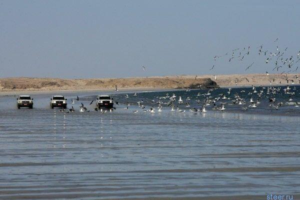 Гонки по самой страшной пустыне Аравии