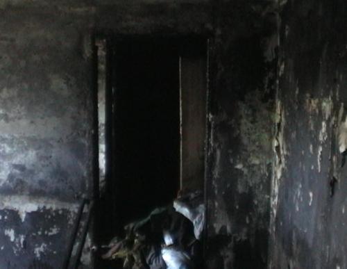 Двое шаловливых ребятишек сожгли квартиру