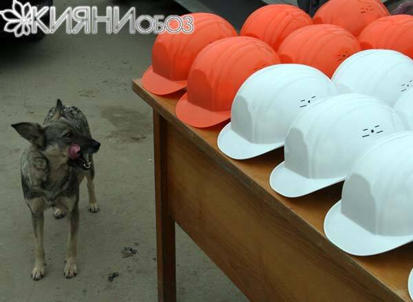 Черновецкий пообещал пустить метро на Теремки