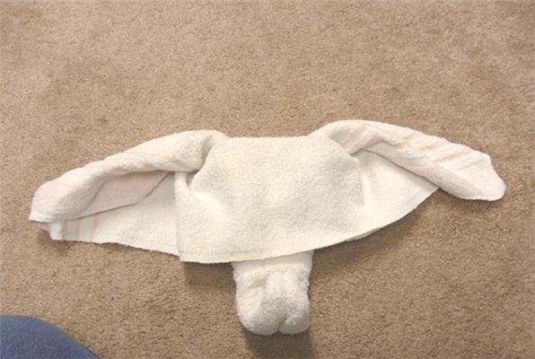 Как сделать слоника из полотенец. Удивим горничную! ФОТО