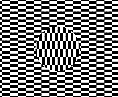 Найповніша добірка зорових ілюзій-2007. ФОТО