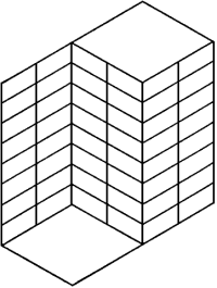 Найповніша добірка зорових ілюзій-2007. ФОТО