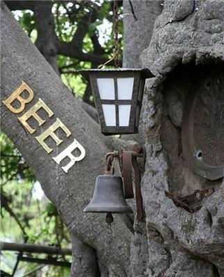 Бар в живом баобабе. Огромные жуки там пьют пиво. ФОТО