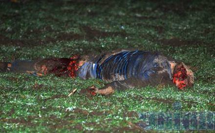 ТРАГЕДИЯ: разбился пассажирский самолет. Есть жертвы