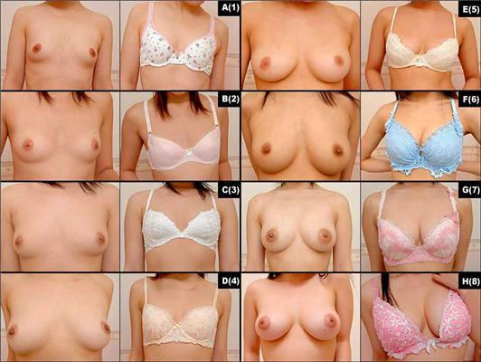 ВСЕ про жіночі груди. Розміри і приклади наочно!