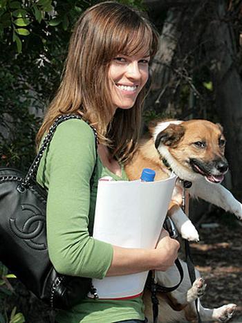 Звезды Голливуда со своими собачками