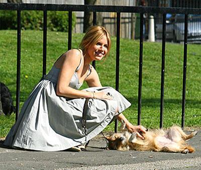 Звезды Голливуда со своими собачками