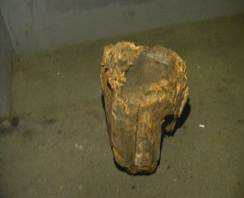 В Боярке задержали малолетних террористов