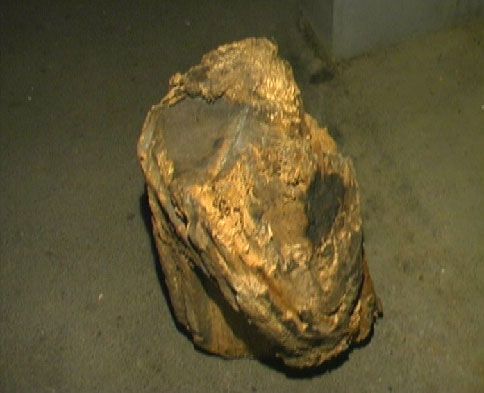 В Боярке задержали малолетних террористов