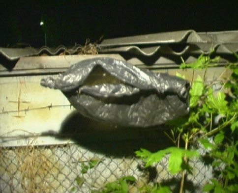 Автомобилю не удалось укрыться от воров в гараже