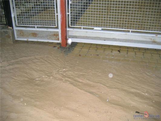 Дощ перетворив Львів на Венецію. ФОТО
