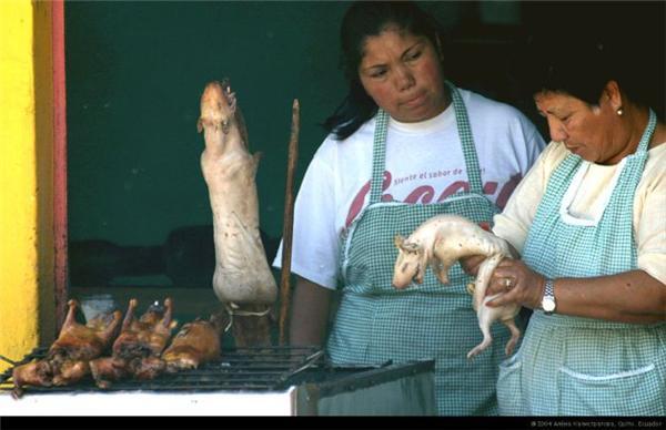 Жареный куй. В Эквадоре его зажарили бы и съели. ФОТО