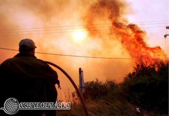 В Греции из-за пожаров погибли 60 человек  