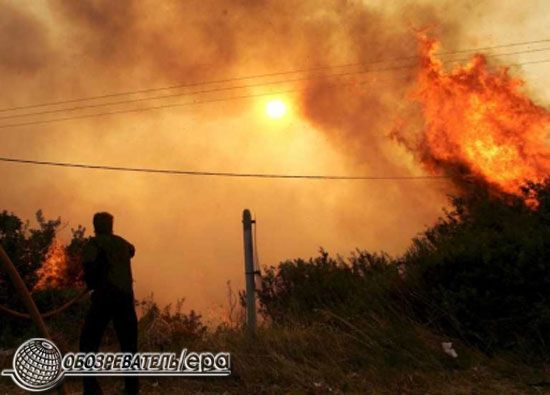 В Греции из-за пожаров погибли 60 человек  