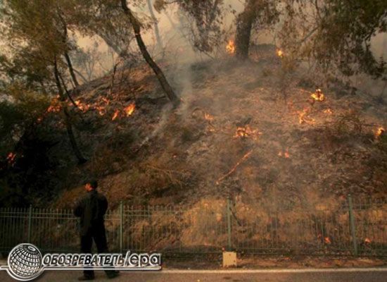 У Греції через пожежі загинули 60 людей 