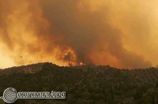 В Греции из-за пожаров погибли 60 человек