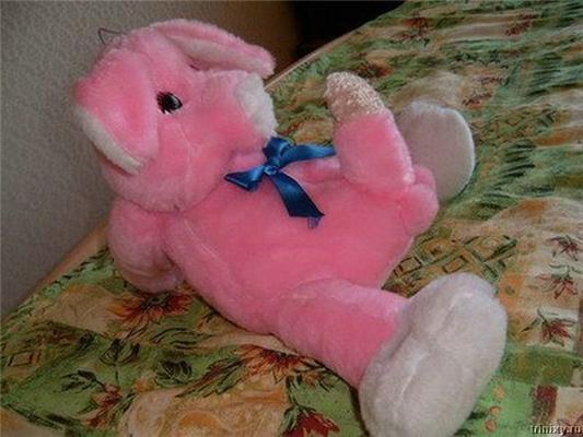 В Киеве делают игрушки с мягким розовым членом