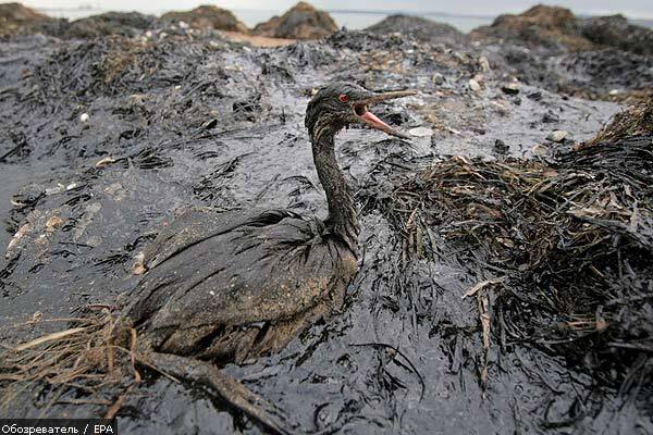 Украина решила отгородиться от Керченской трагедии