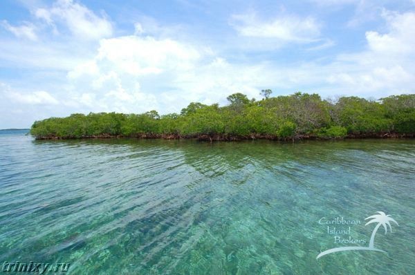 Сколько стоит остров в Карибском море? Выбираем...