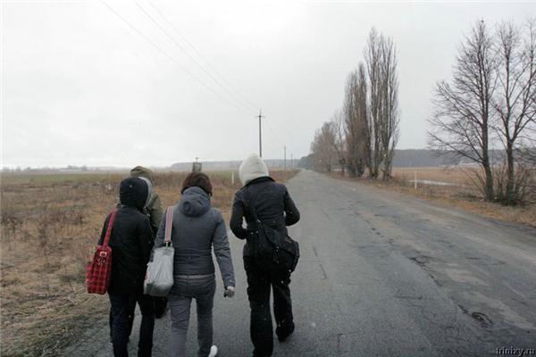 Право убивать. Приют для собак в селе Бородянка 